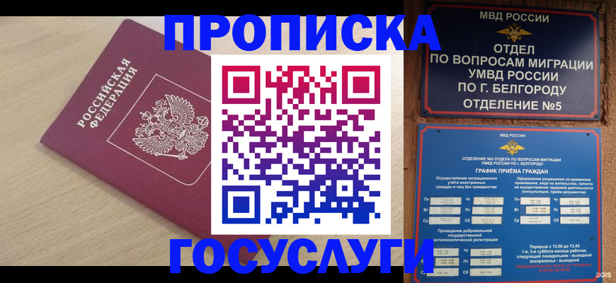 прописка законно в Невельске